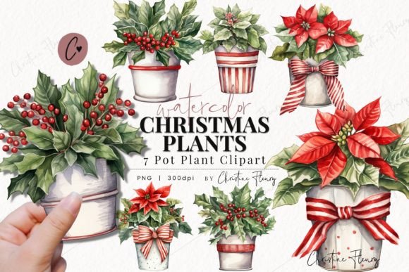 Watercolor Christmas Plant Clipart Illustrations